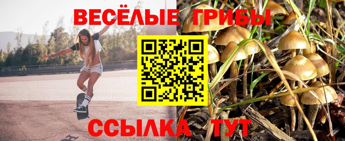Псилоцибиновые грибы GOLDEN TEACHER  Вход с VPN  Тверь  Галлюциногенные грибы Magic Shrooms 