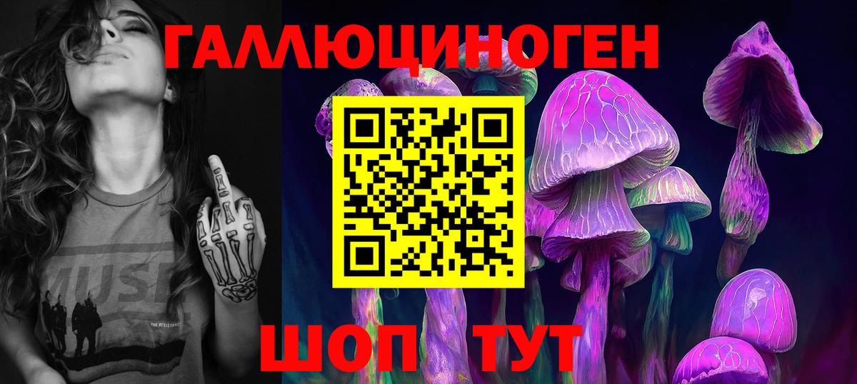 Галлюциногенные грибы GOLDEN TEACHER Тверь